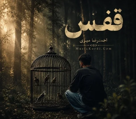 احمدرضا میری قفس