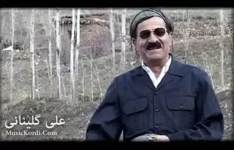 دانلود آهنگ زینهبی از علی گلینانی (زینبی) زینه بی علی گلینانی