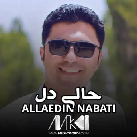 دانلود آهنگ حالی دل از علا نباتی + (متن آهنگ) حالی دل علا نباتی