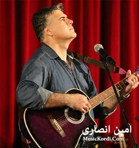 امین انصاری مینا عیسی