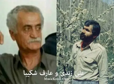 عارف شکیبا و علی زندی