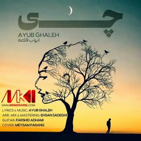 چی ایوب قلعه