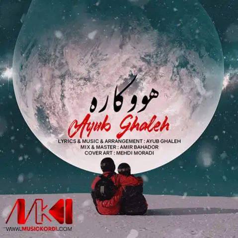 ایوب قلعه هووکاره