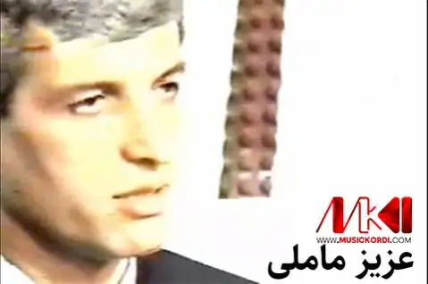 عزیز ماملی لایه لایه