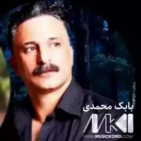 دانلود آهنگ فهریده بابک محمدی (فریده) - مخصوص هلپرکی بابک محمدی فه ریده