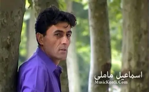 لانک لانک لانکولی اسماعیل ماملی