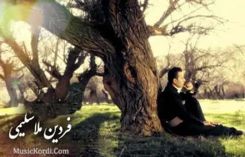 دانلود آهنگ بالا برز از فردین ملاسلیمی