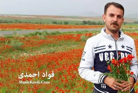 باوانم نازار باوانم فواد احمدی