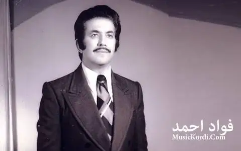دانلود آهنگ زهینهبی از فواد احمد فواد احمد زه ینه بی