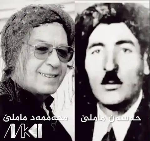محمد ماملی و حسن ماملی