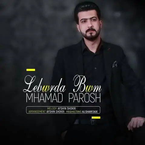 دانلود آهنگ لیبوورده بوم از محمد پروش محمد پرورش لیبوورده بوم