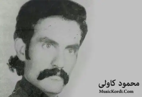 دانلود آهنگ فریده از محمود کاولی
