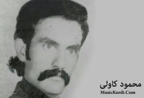 (هاوار ای هاوار) دانلود آهنگ هاوار ئهی هاوار از محمود کاولی هاوار ئه ی هاوار محمود کاولی