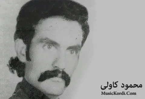 دانلود آهنگ مهستورهی نازدار از محمود کاولی