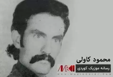 ئامان فه ریده گیان محمود وطن خواه