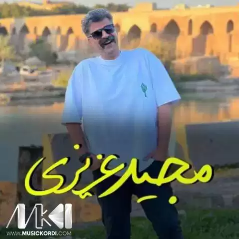 خانم مجید عزیزی
