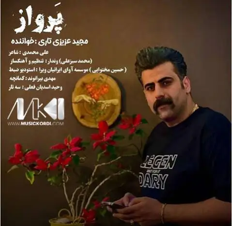 پرواز مجید عزیزی