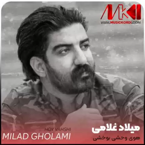 دانلود آهنگ هوی وحشی میلاد غلامی + (متن آهنگ) هوی وحشی میلاد غلامی
