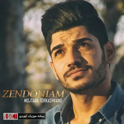 دانلود آهنگ زندونیم از مجتبی ترکاشوند همراه با متن آهنگ زندونیم مجتبی ترکاشوند