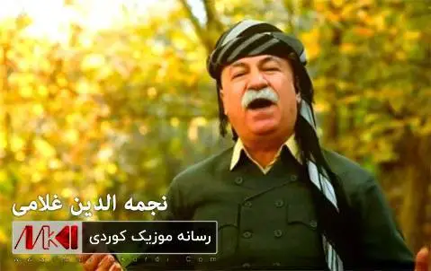 نجمه الدین غلامی شیخانی