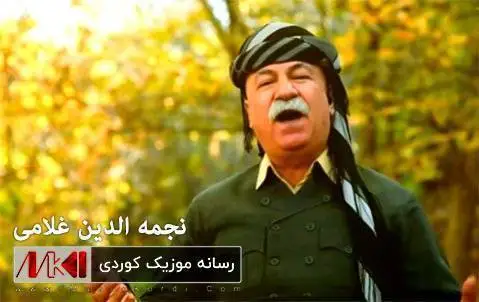 دانلود آهنگ لاده از نجمه الدین غلامی لاده نجمه الدین غلامی