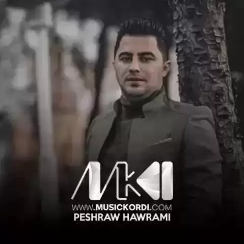 دانلود آهنگ دلم خهم باره پیشرو هورامی (یاران چون بلیم) پیشرو هورامی دلم خه م باره
