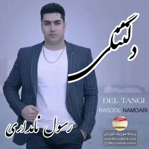 دلتنگی رسول نامداری