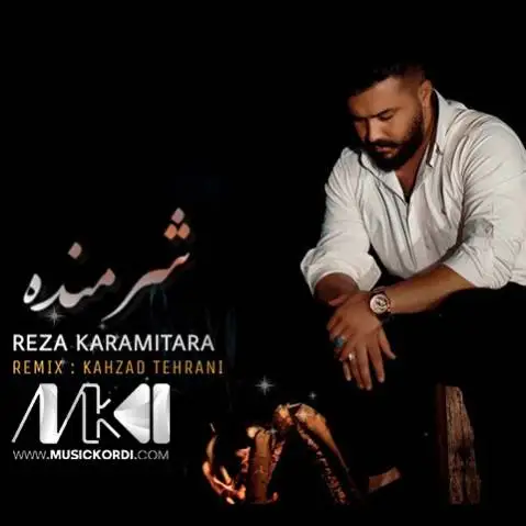رضا کرمی تارا ریمیکس شرمنده