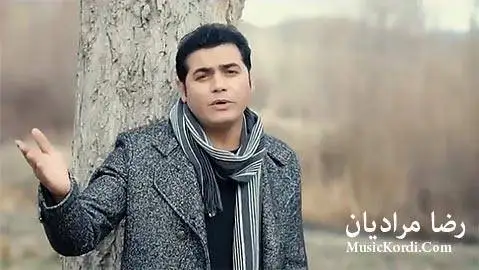 رضا مرادیان تاراج