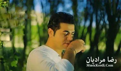 رضا مرادیان ولگرد