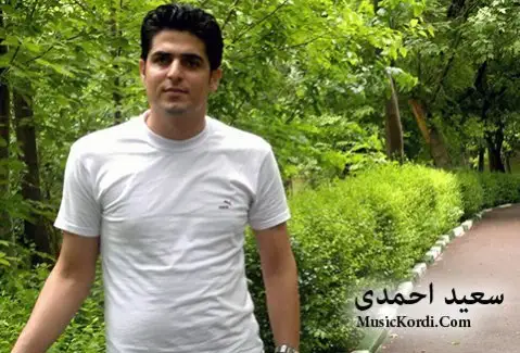 دانلود آهنگ نهلهوه از سعید احمدی