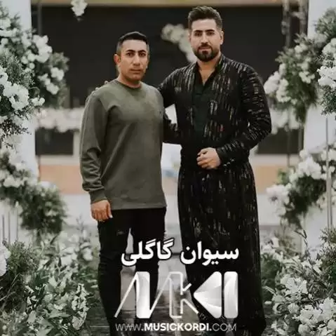 ئه مشه و نیگات سیوان گاگلی