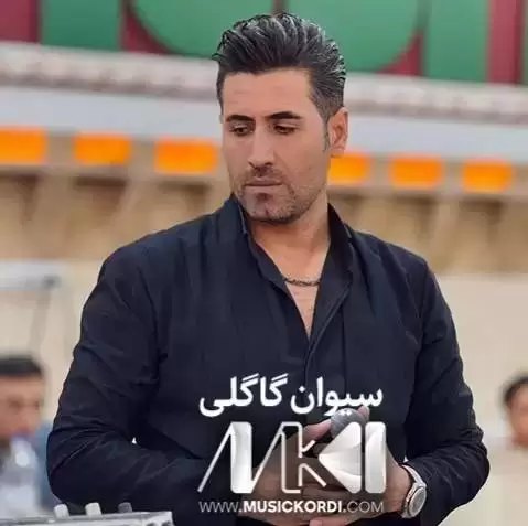 دانلود آهنگ ههناری گول ههناری سیوان گاگلی (هناری گل هناری) - ریمیکس جدید هه ناری گول هه ناری سیوان گاگلی