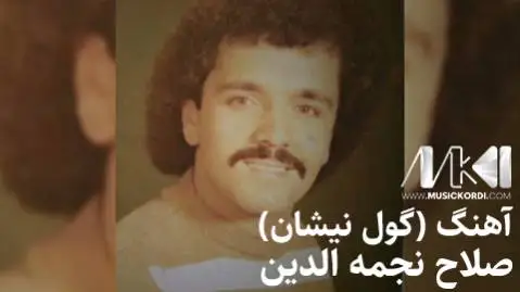 صلاح نجمه الدین گول نیشان
