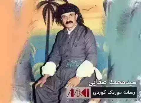 ره زیه سیدمحمد صفایی