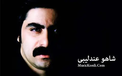 دانلود آهنگ بوچی از شاهو عندلیبی | صوتی و تصویری شاهو عندلیبی بوچی
