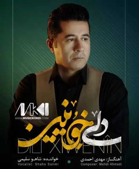 دانلود آهنگ دلی خوینین شاهو سلیمی - جدید همراه با متن دلی خوینین شاهو سلیمی