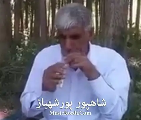 دانلود آهنگ خانه میری از شاهپور پورشهباز شاهپور پورشهباز خانه میری