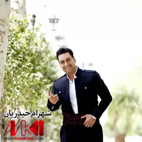 دانلود آهنگ دل پیر از شهرام حیدریان - جدید مخصوص هلپرکی دل پیر شهرام حیدریان