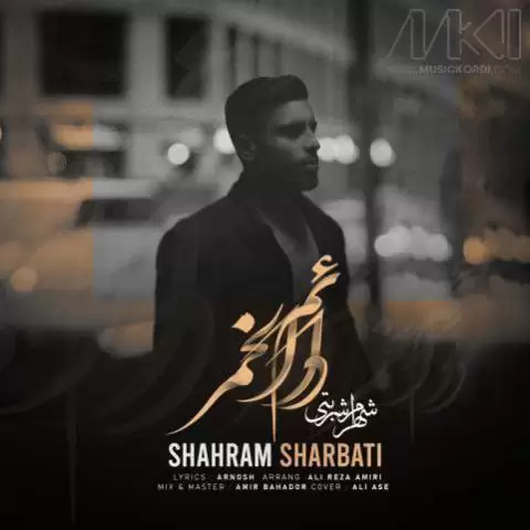 شهرام شربتی دائم الخمر