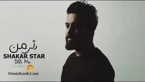 دانلود آهنگ دلی من از شاکار ستار + متن کامل آهنگ شاکار ستار دلی من