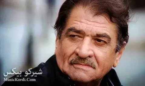 شیرکو بیکس جه ژنیک
