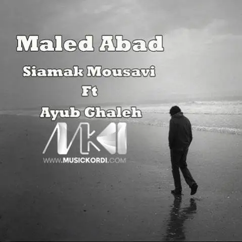 ایوب قلعه و سیامک موسوی