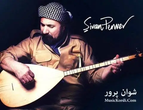 دانلود آهنگ دلی دلی از شوان پرور | آهنگ شکاکی دلی دلی شوان پرور