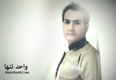دانلود آهنگ فولکلور از واحد تنها