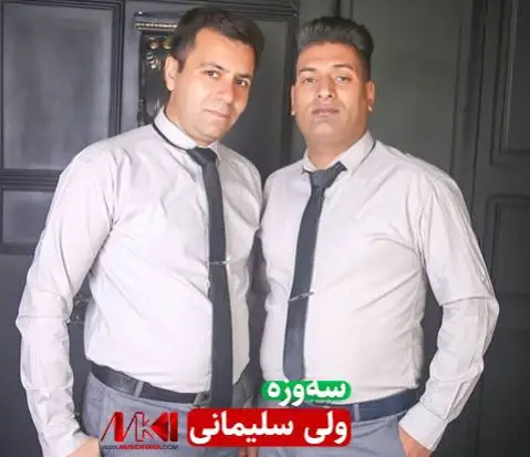 ولی سلیمانی سه وزه