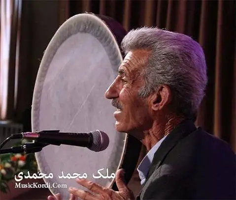 مه لی ملک محمد محمدی
