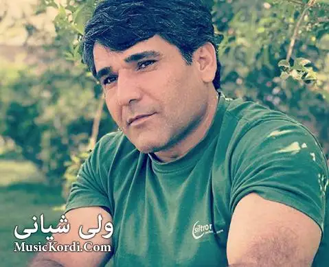 دانلود آهنگ تو سوینت ئهخوارد از ولی شیانی تو سوینت ئه خوارد ولی شیانی