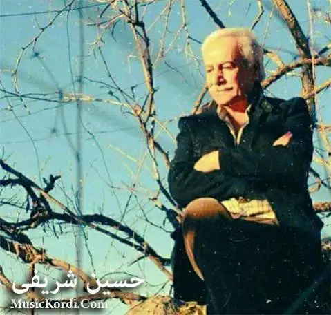 دانلود آهنگ وتم تاکهی دانیشم از حسین شریفی وتم تاکه ی دانیشم حسین شریفی