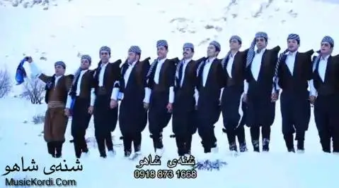 گروه شنه ی شاهو هه لپرکی